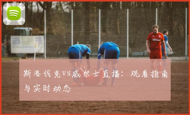 斯洛伐克vs威尔士直播：观看指南与实时动态