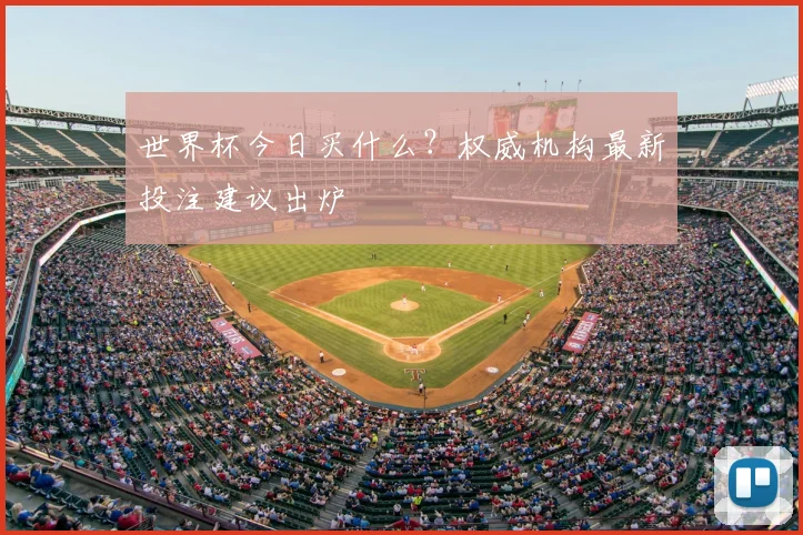 世界杯今日买什么？权威机构最新投注建议出炉