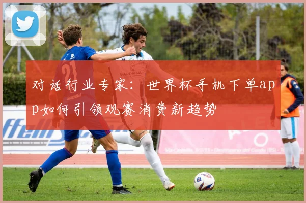 对话行业专家:世界杯手机下单app如何引领观赛消费新趋势