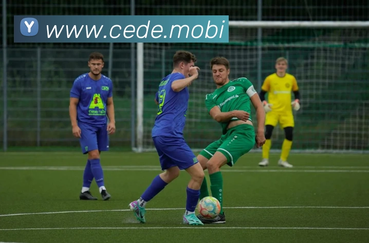 开云官方登陆入口平台生态图