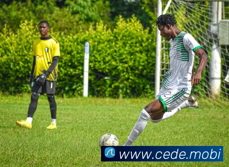 开云官方登陆入口APP 封面图